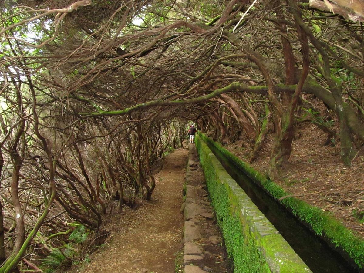 Beautiful View 2 - Arco Da Calheta - Ilha Da Madeira Apartment ภายนอก รูปภาพ